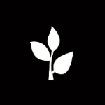 Avatar for theconceptualstore